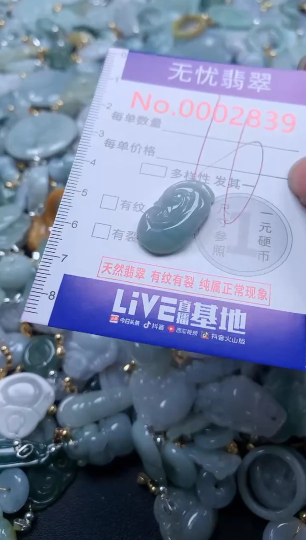 翡翠未镶嵌吊坠(不含链)2839