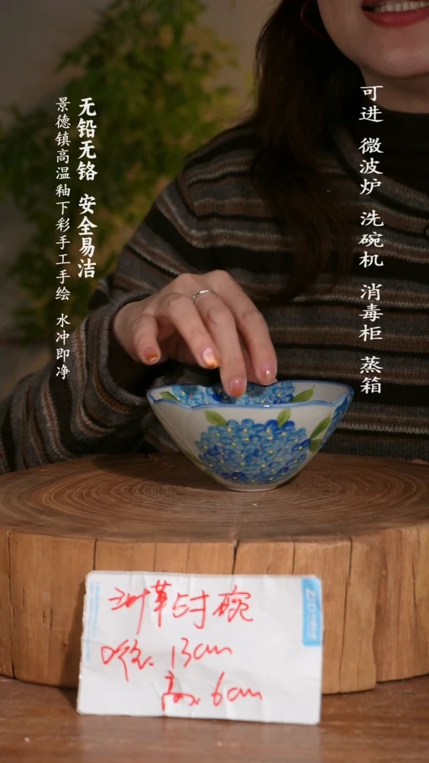 碗陶瓷景德镇高温瓷釉下彩手绘陶瓷