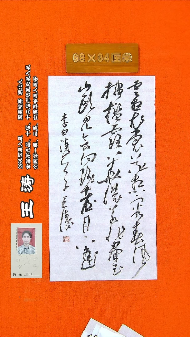 书法119a王涛书法作品