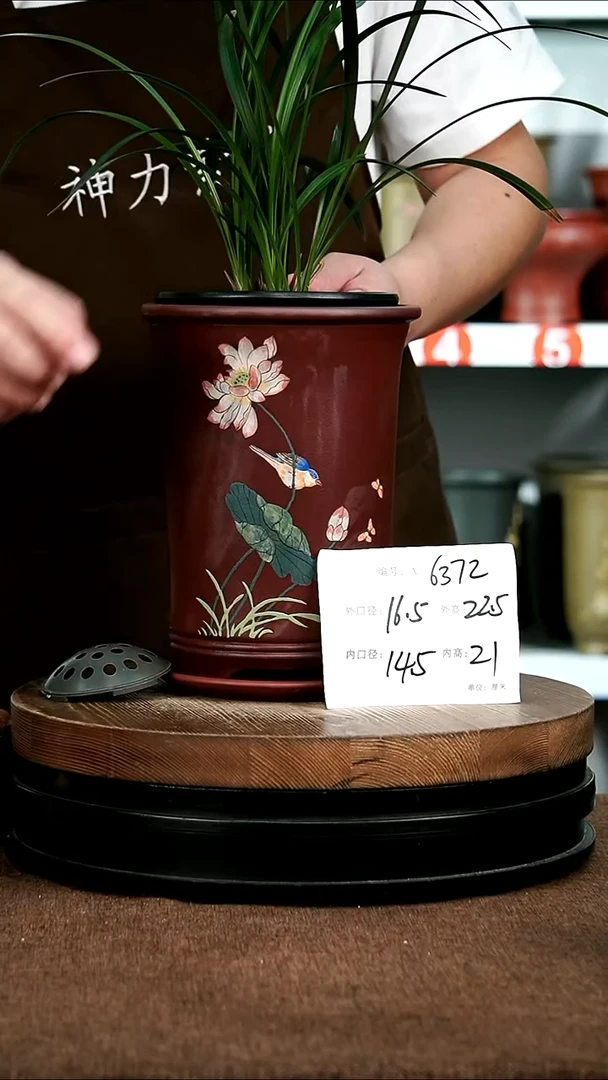 紫砂花盆花卉园艺6372+Z