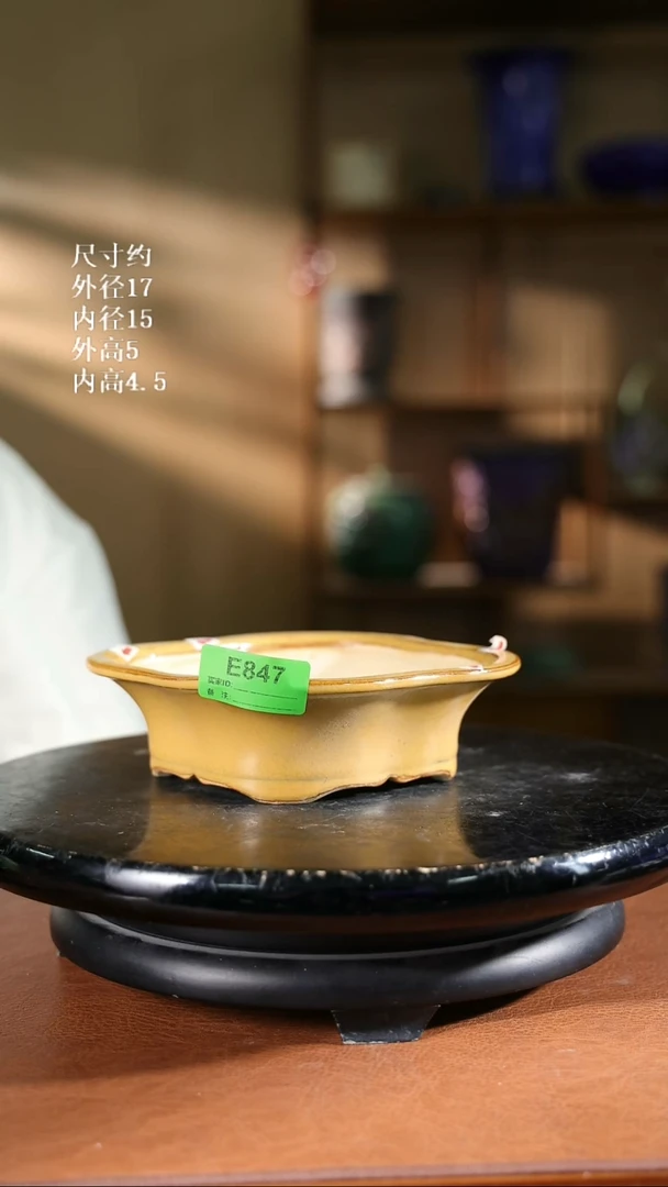 847      7寸棱形盆