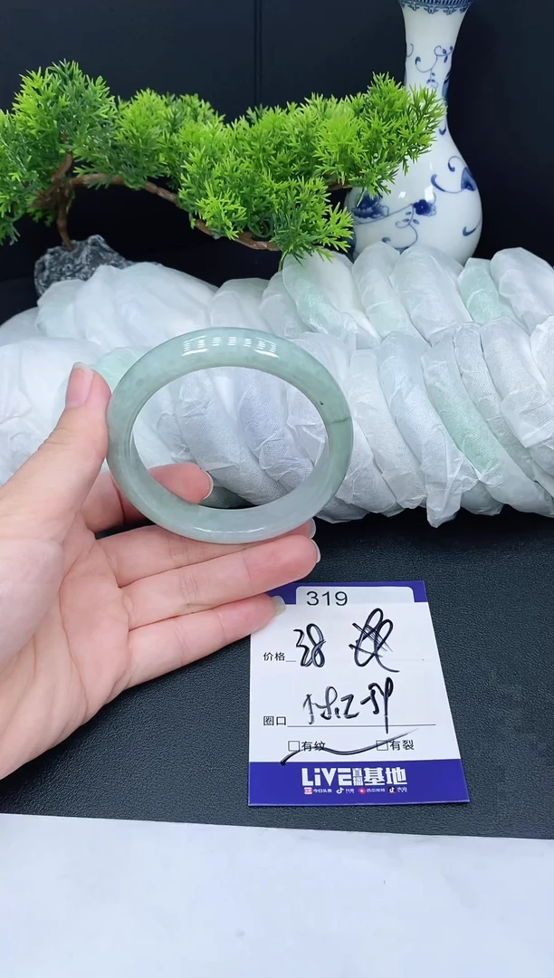 未镶嵌手镯翡翠319