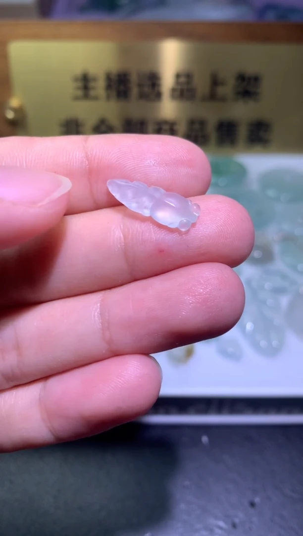 【闪购商品】翡翠颈饰未镶嵌净货