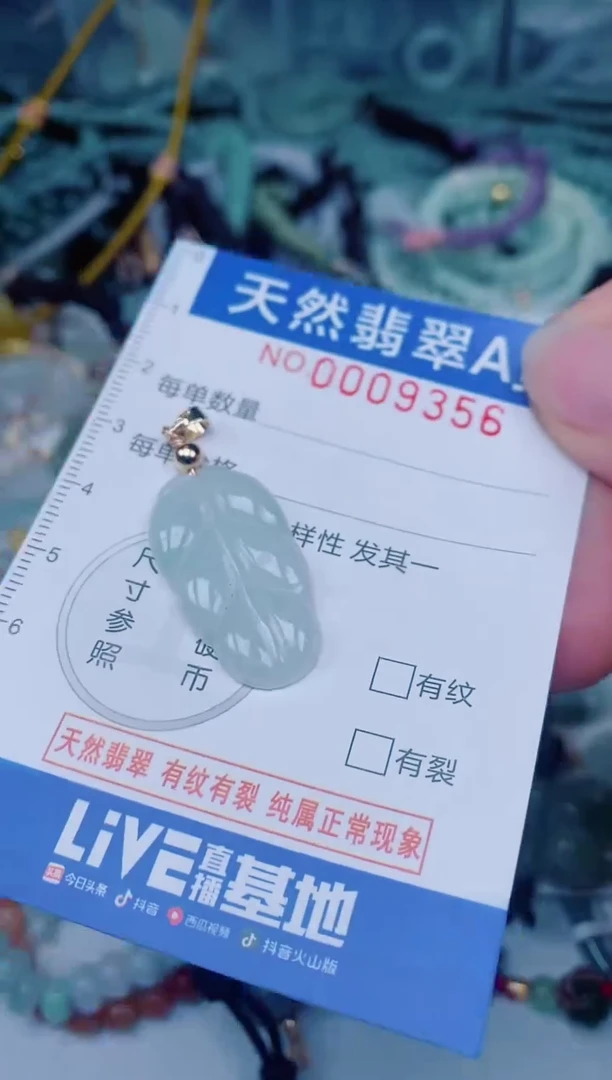 颈饰未镶嵌翡翠00009356