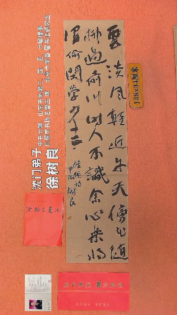 【闪购商品】书法55    徐树良书法作品