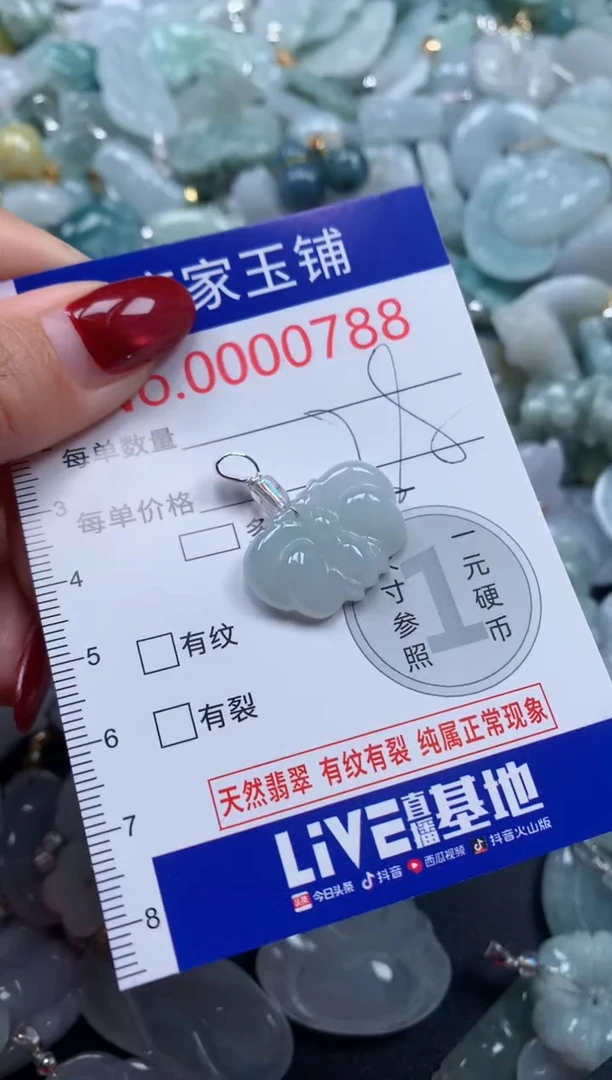 颈饰未镶嵌翡翠788