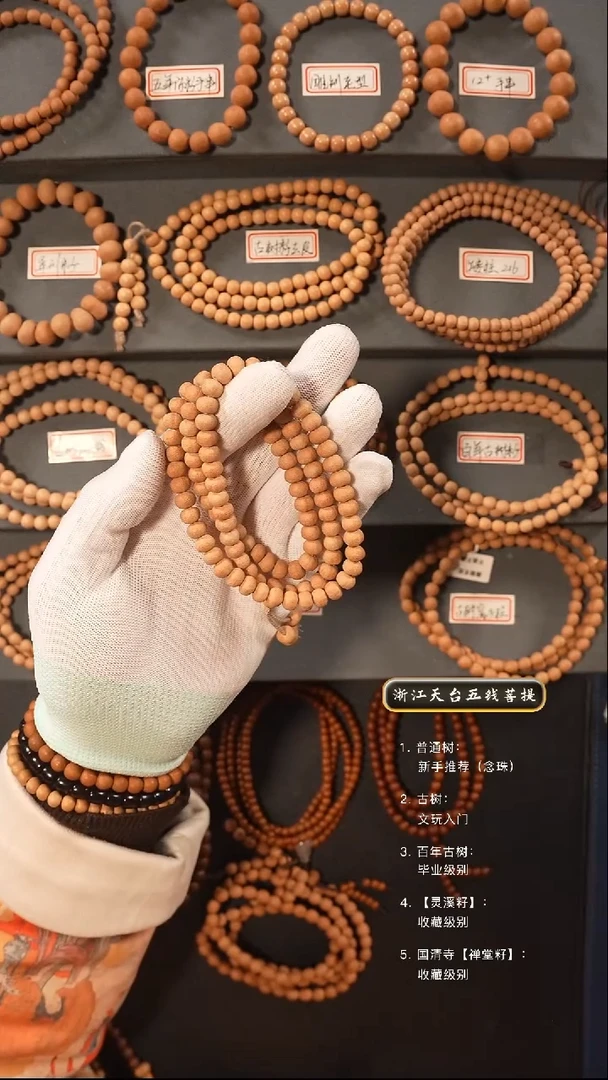 【闪购商品】五线菩提吊坠原皮脖挂