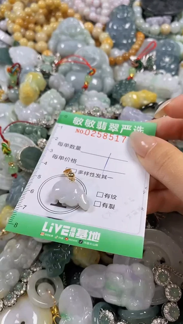 翡翠未镶嵌颈饰闪购0258517