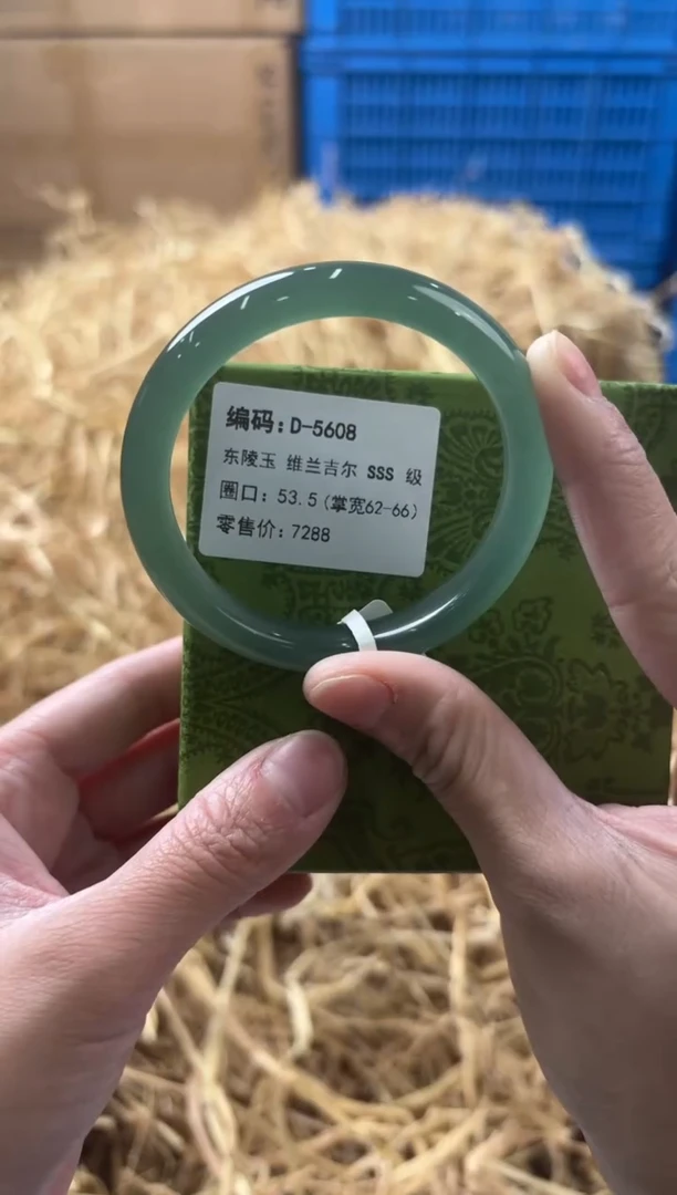 未镶嵌手镯石英质玉D-5608