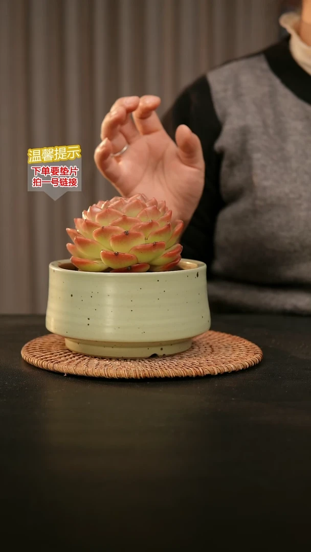 瓷片内口径约12  外高约7-8