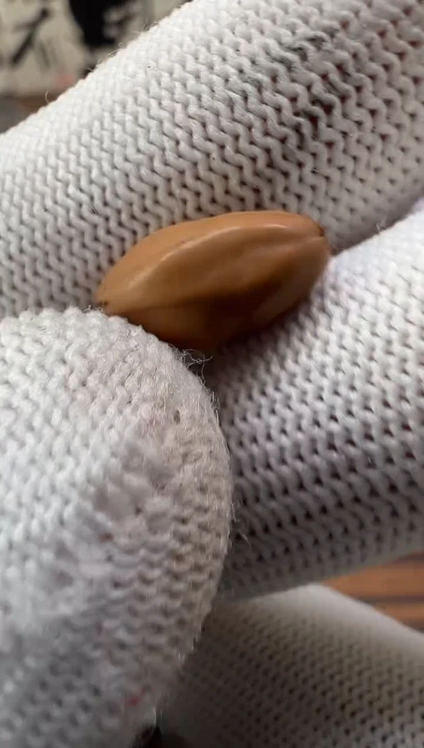 手串橄榄核橄榄核手串