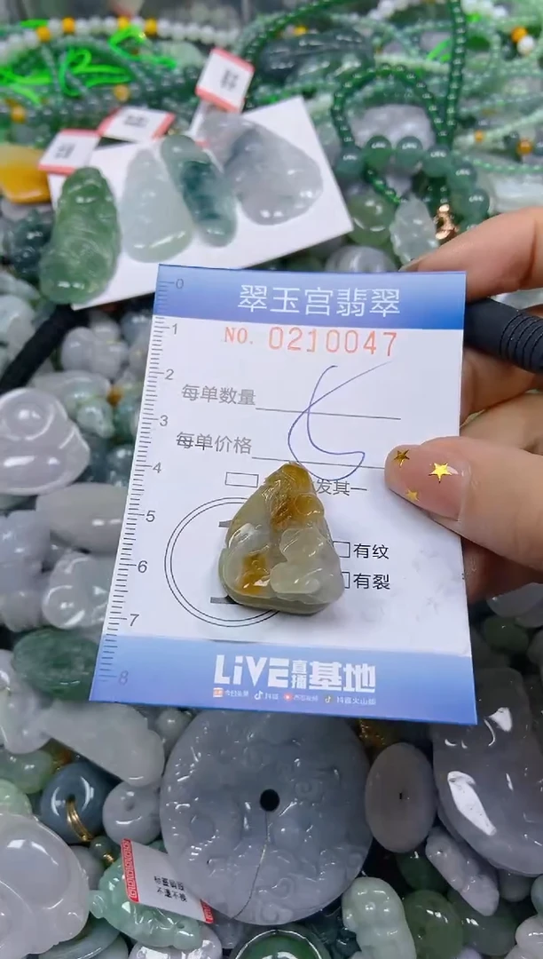 颈饰未镶嵌翡翠闪购C0210047