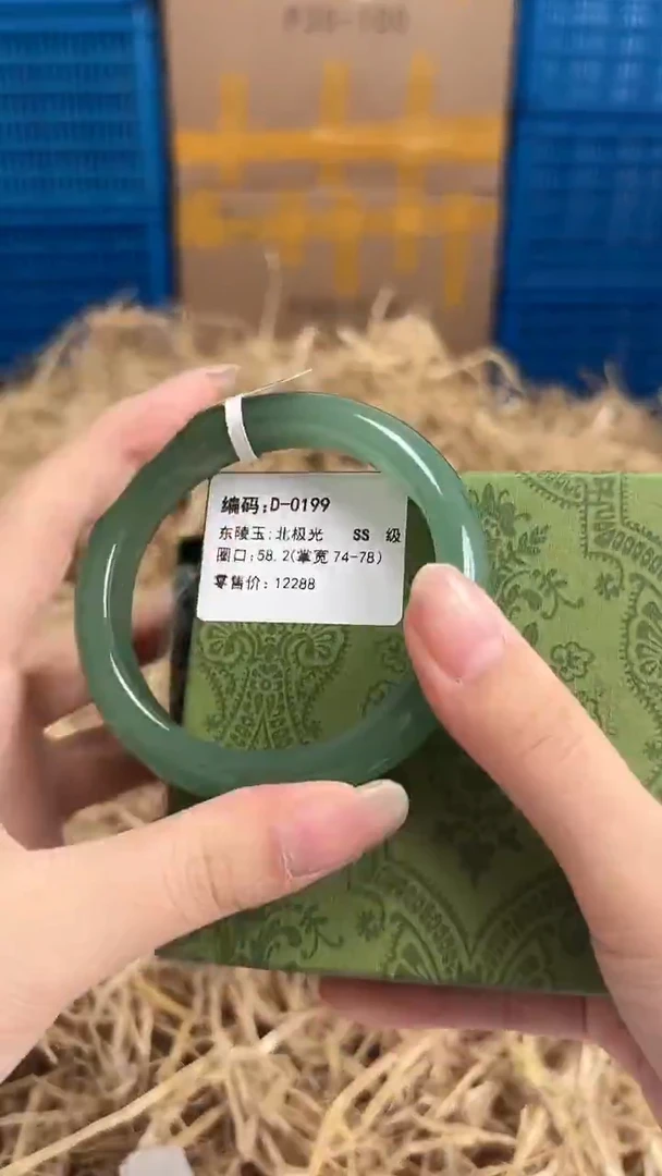 未镶嵌手镯石英质玉D-0199