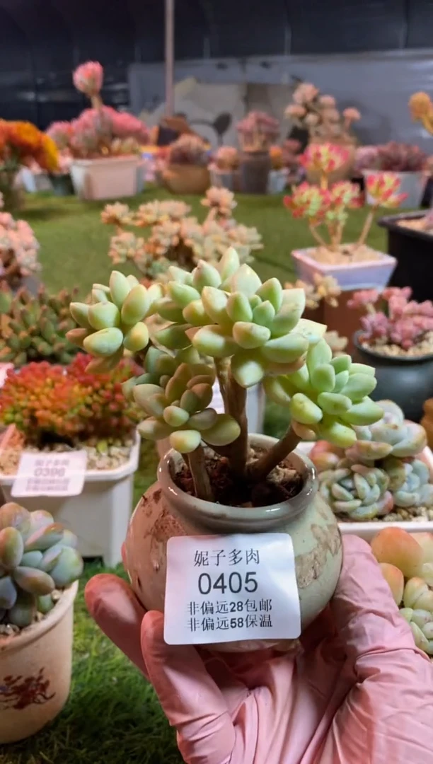 【闪购商品】0405a