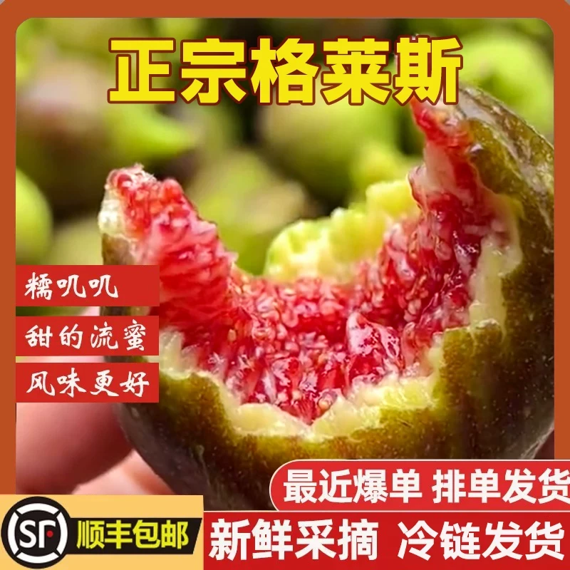 顺丰格莱斯无花果新鲜现摘大果青红皮当季应季孕妇整箱鲜果水果LL