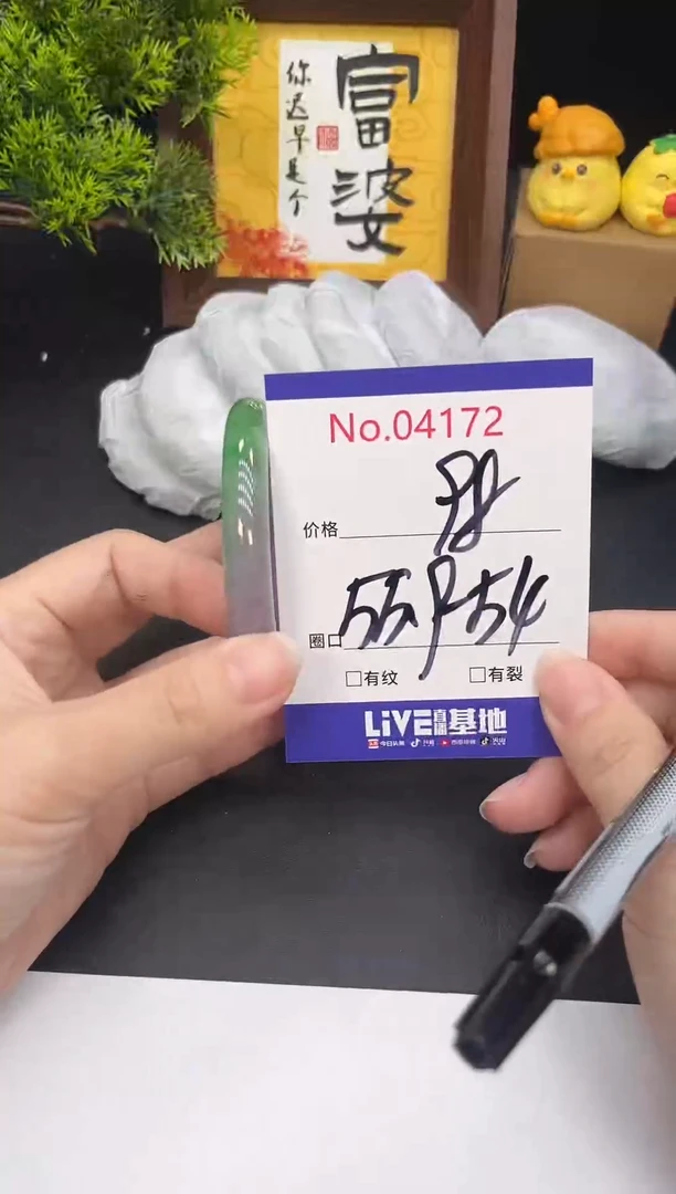未镶嵌手镯翡翠4172