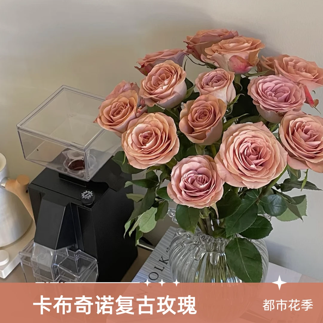 都市花季【复古卡布奇诺5支】任意两单顺丰包邮