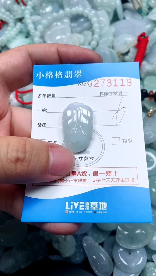 翡翠未镶嵌颈饰闪购商品0273119