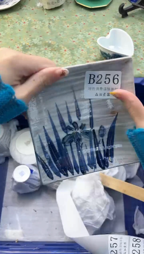 【闪购商品】瓷片          B256