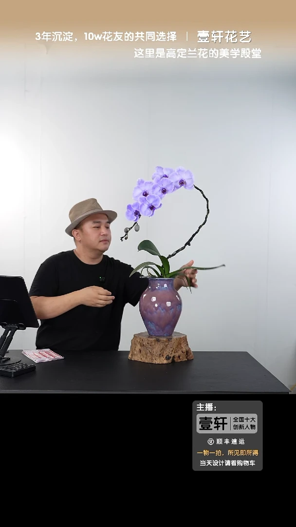 全部花朵045号链接【一物一拍】艺术盆景