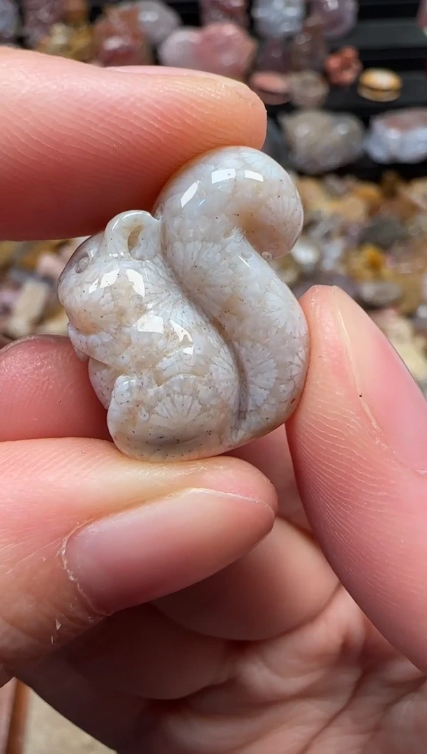 颈饰未镶嵌硅化珊瑚（珊瑚玉）746