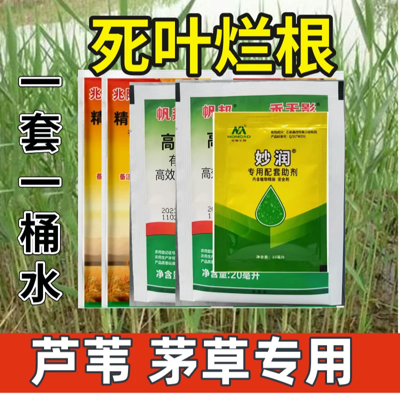 芦苇茅草专用除草剂牛筋草稗草狗尾草尖叶草专用除草剂农药