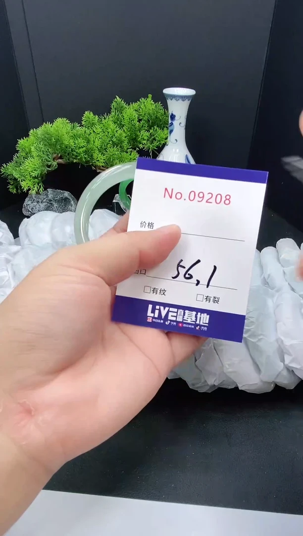 未镶嵌手镯翡翠9208