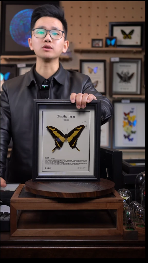 敏芷凤蝶中文版10寸竖