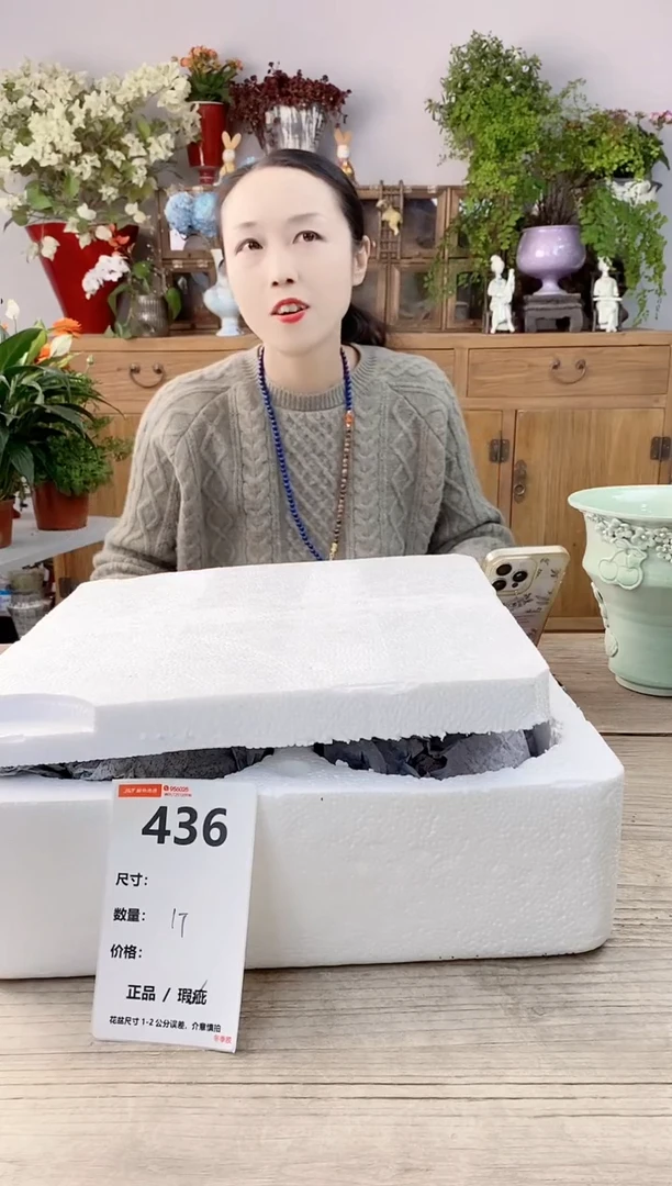 小玩子花盆直播号436