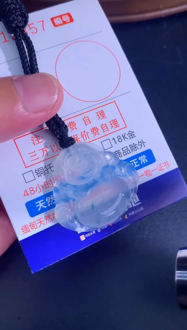 翡翠未镶嵌颈饰天然A货翡翠
