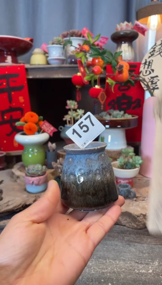 【闪购商品】摆件156知木小芳花盆