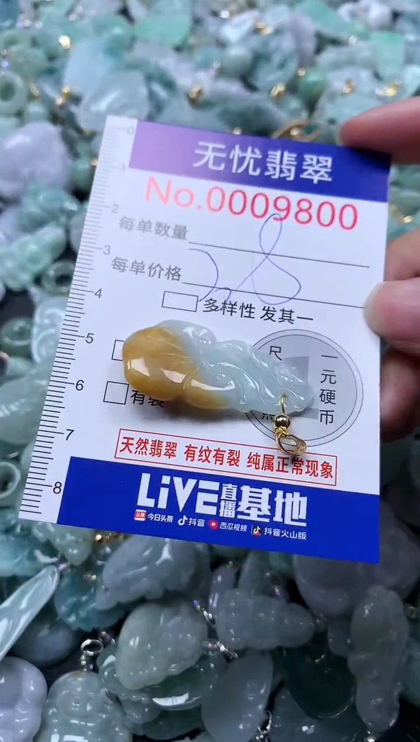 颈饰未镶嵌翡翠9800