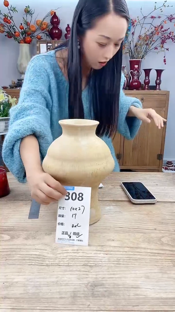 【闪购商品】红陶308