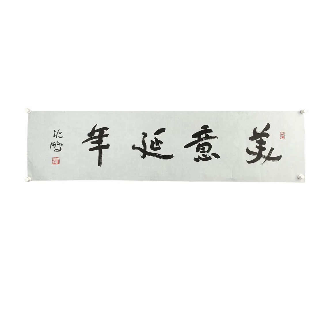 d293 沈鹏 书法 软片 尺寸36cm*13cm约4.9平尺