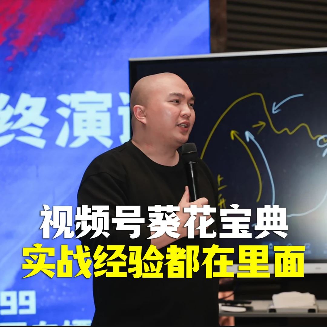 天诺老吴视频号葵花宝典