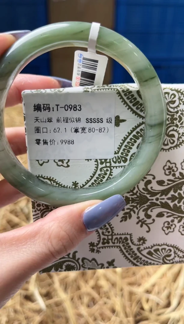 未镶嵌手镯石英质玉T0983