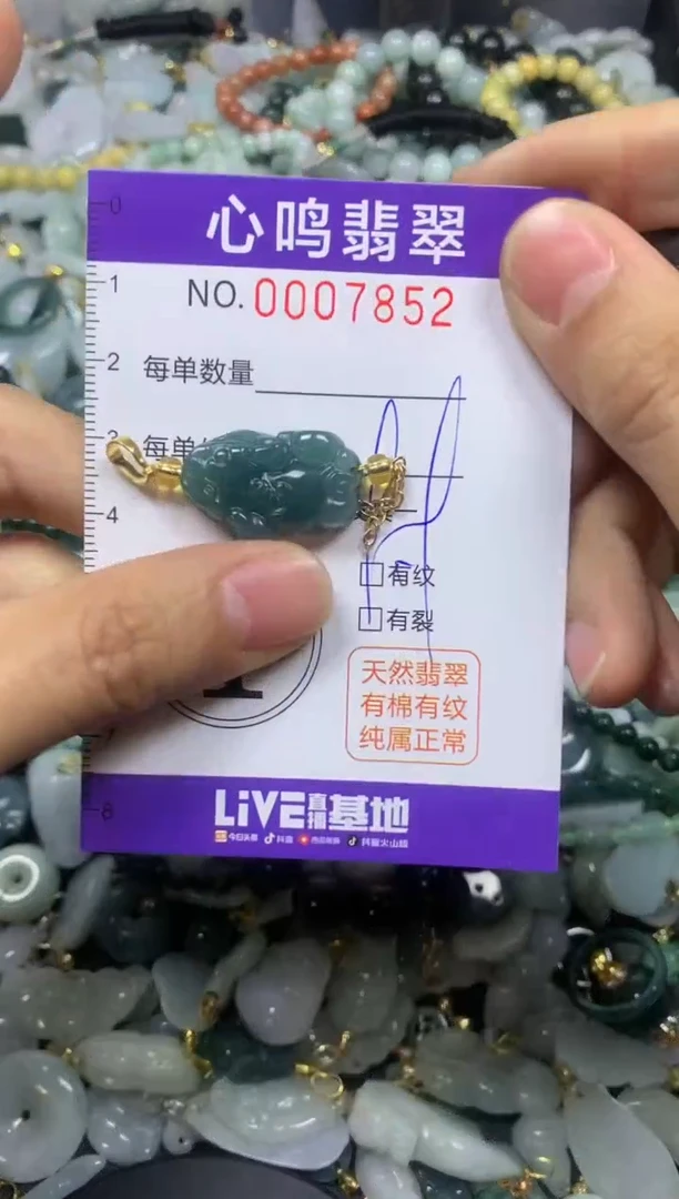 【闪购商品】翡翠颈饰未镶嵌闪购007852