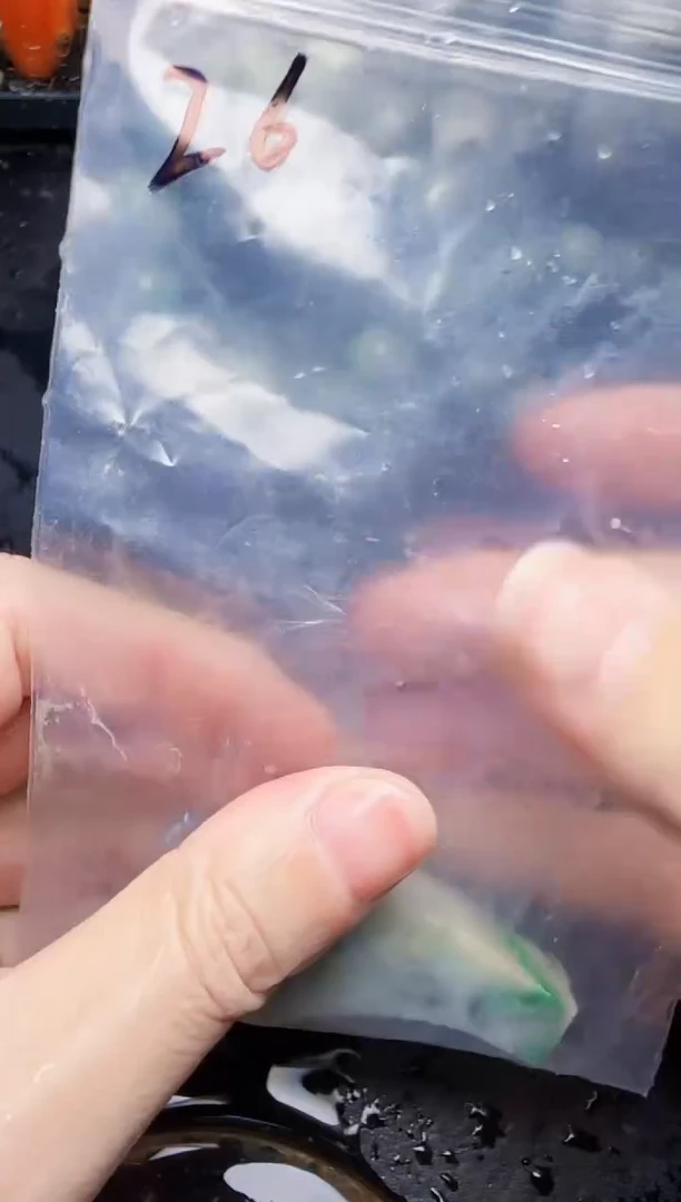 颈饰未镶嵌翡翠26