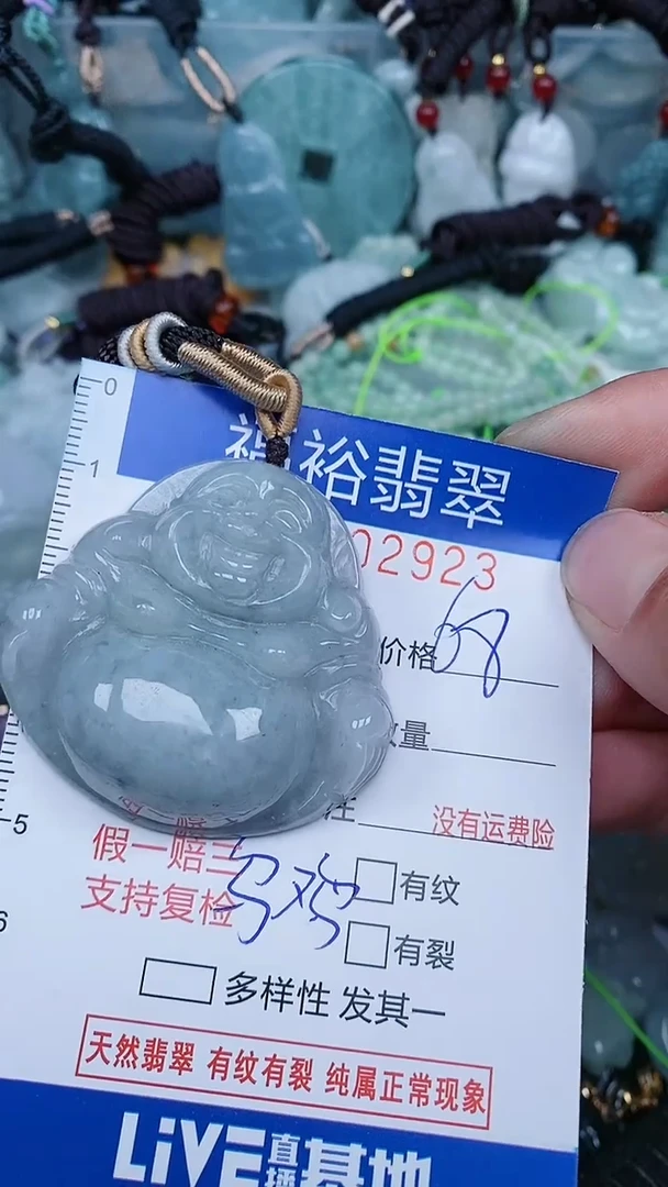 【闪购商品】翡翠颈饰未镶嵌...0002923