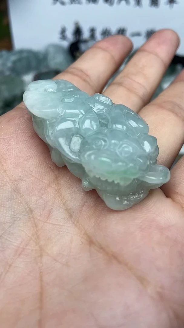 翡翠未镶嵌颈饰懒****?貔貅