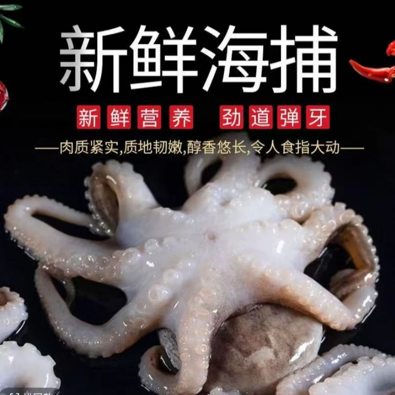 八爪鱼 厦门海鲜配送 顺丰快递 厦门发货 现称