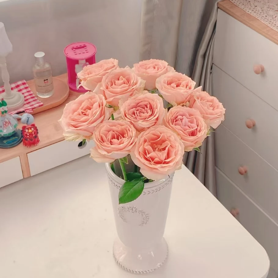 次日达 方德单头玫瑰 胭脂