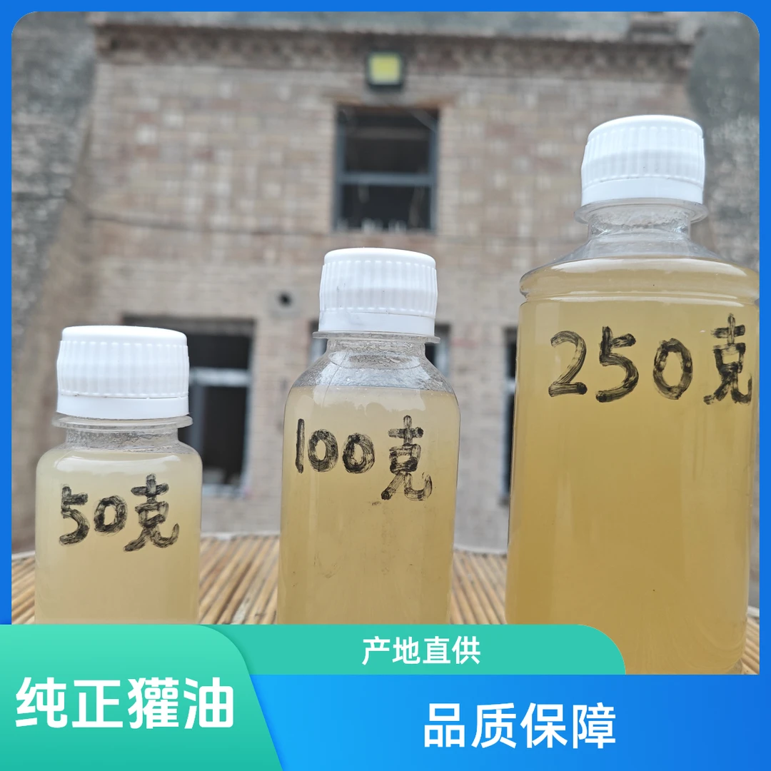 退伍回家做狗獾养殖，要做就做纯正不掺假的好獾子油，西北第一家獾