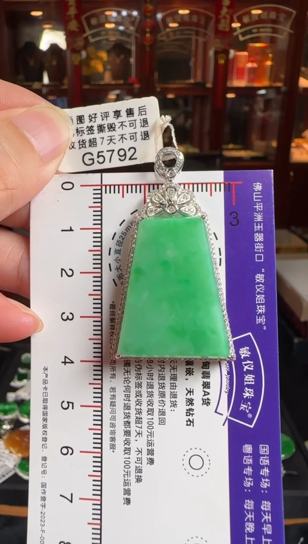 颈饰18K金镶嵌翡翠G5792阳绿无事牌