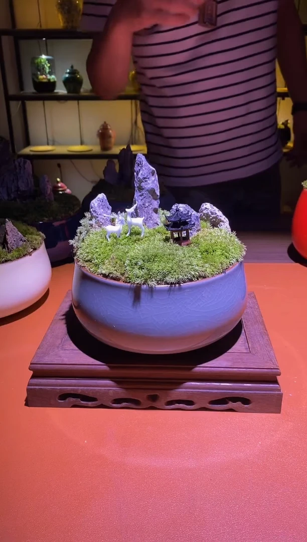 吉鑫福利精选福力