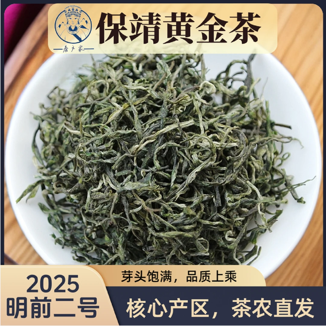 保靖黄金茶2025明前二号早春高山绿茶核心产区浓香耐泡栗香清香