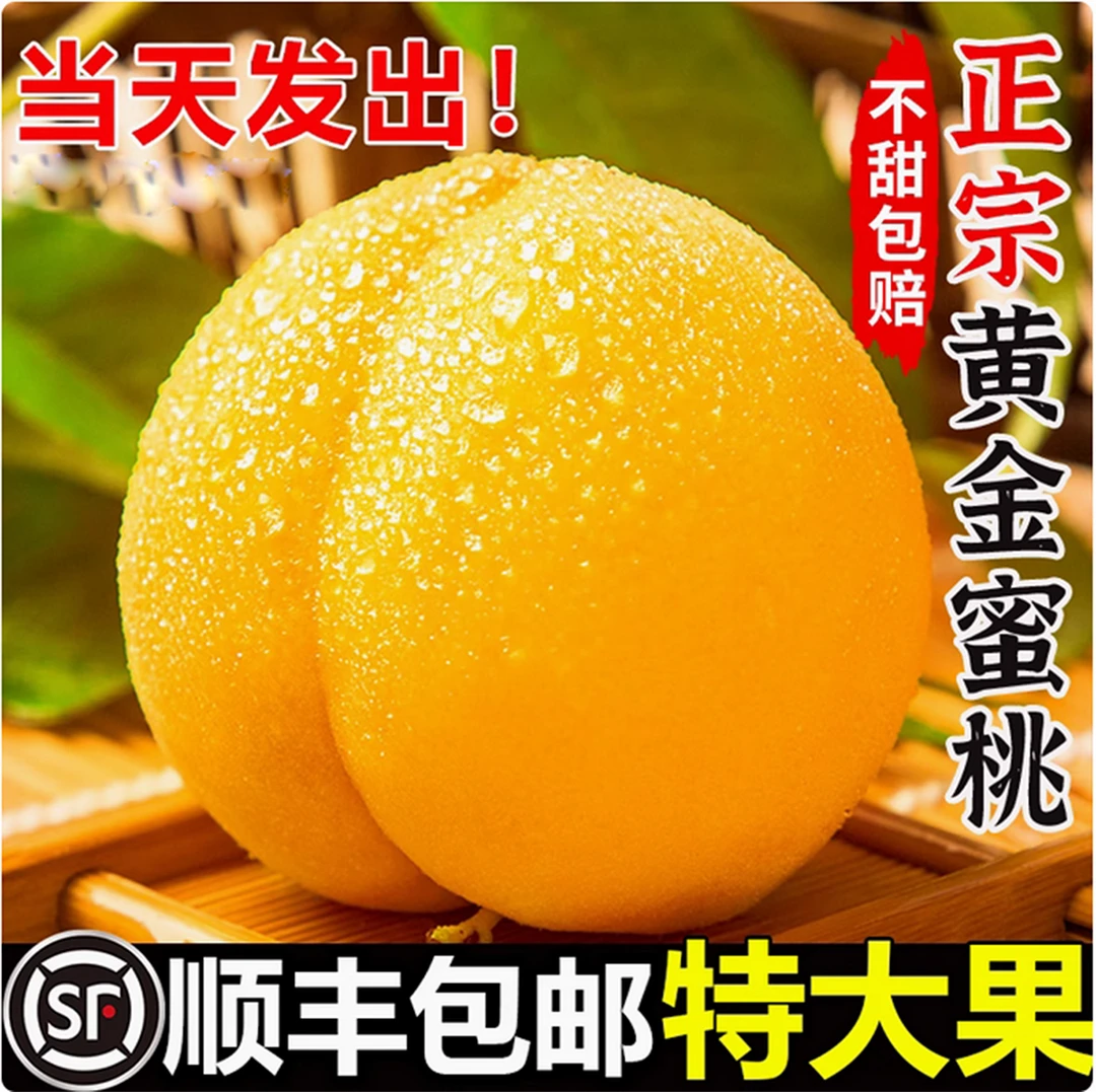 山东正宗蒙阴黄金油盘桃黄桃甜脆多汁新鲜应季水果桃子顺丰包邮
