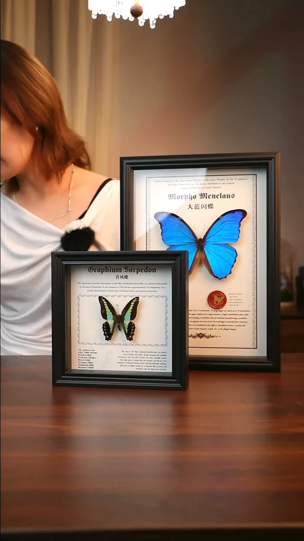 青凤蝶-（6寸方黑色新款框）A111