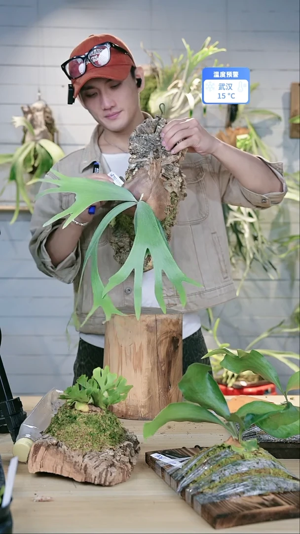 完全开放A771 银凤sp