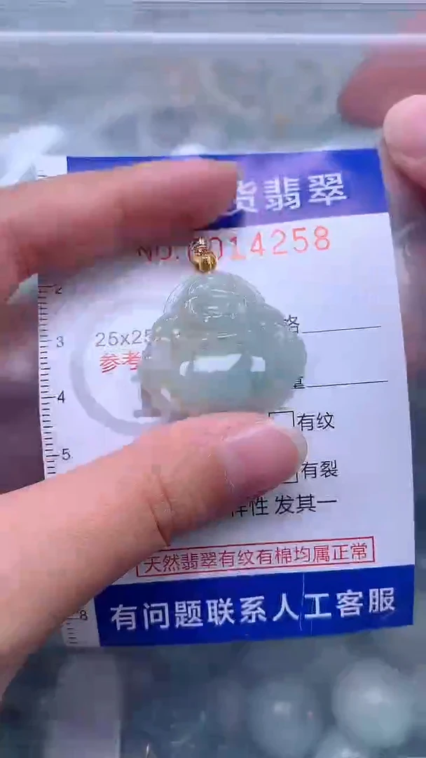 翡翠未镶嵌吊坠(不含链)1